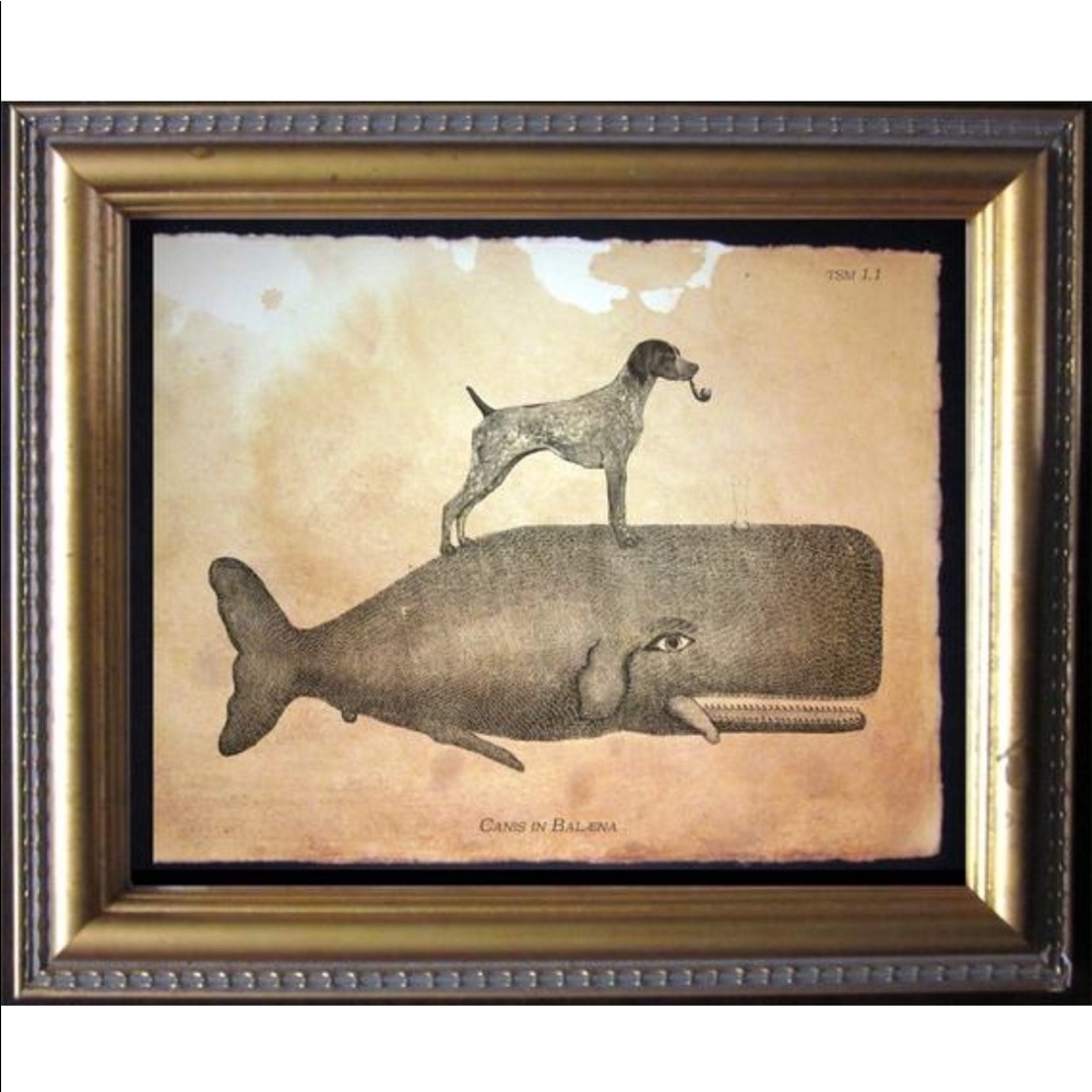 German Shorthair Pointer Whale Art Print Tea Stain